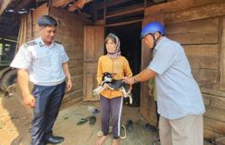 Bệnh dại diễn biến phức tạp