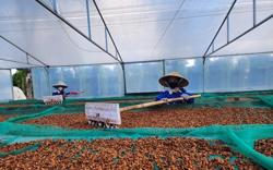 Qua thời cà phê giá rẻ