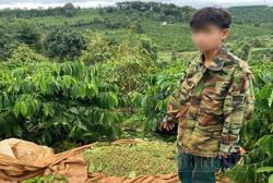 Nhiều đối tượng trộm cắp "sa lưới" công an xã