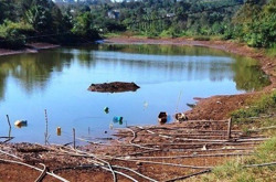 Đắk Nông chủ động phòng, chống hạn hán, thiếu nước mùa khô 2024