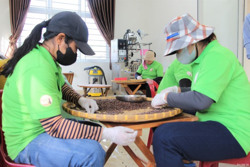 51 hợp tác xã có liên kết sản xuất và tiêu thụ sản phẩm với doanh nghiệp