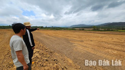 Khu tái định cư số 1 và số 2 (huyện Ea Kar): Còn khó khăn trong việc cấp đất tái định canh