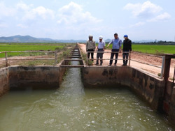 Huyện Ea Kar chủ động điều tiết nước chống hạn