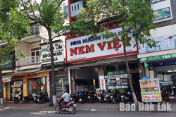 Tìm Buôn Ma Thuột trong nhạc Trịnh Công Sơn