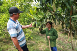 Hỗ trợ chuyển dịch việc làm cho lao động nông thôn