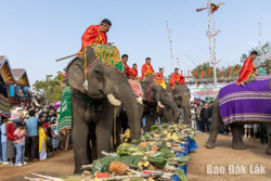 Huyện Buôn Đôn: Nhiều hoạt động hấp dẫn tại Lễ hội Văn hóa – Thể thao – Du lịch 10/3