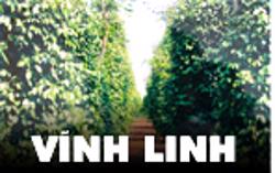 Trang trại Hồ tiêu và cây ăn trái tại Thôn 16 (đội 39 – Việt Đức 4 cũ), xã Ea Ning, huyện Cư Kuin, tỉnh Đắk Lắk cần tuyển: Quản lý trang trại, Lao động Phổ thông.