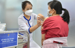 Nguy cơ số ca mắc và tử vong vì bệnh dại tăng