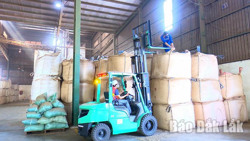 Doanh nghiệp trong nước “đuối sức” trên "đường đua" xuất khẩu cà phê?