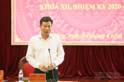 Dự báo một số cây trồng chủ lực của Đắk Nông sẽ mất mùa