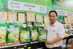 Đắk Lắk có 2 đơn vị đạt danh hiệu “Ngôi sao Hợp tác xã 2024”