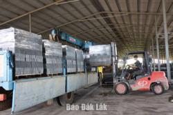 Huyện Cư Kuin: Triển khai quyết liệt các biện pháp quản lý nguồn thu