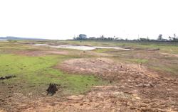 15 hồ lớn cạn nước, Đắk Lắk ứng phó ra sao?