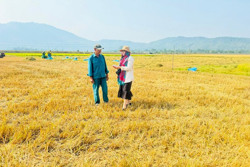 Đắk Lắk: Gần trăm ha ruộng ở xã Bông Krang bị bỏ hoang vì không có nước sản xuất