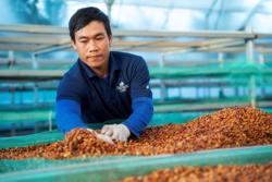 Giảm thiểu rủi ro trong “bão giá” cà phê