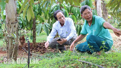 Nông dân Ea H’leo đẩy mạnh ứng dụng công nghệ tưới tiết kiệm nước