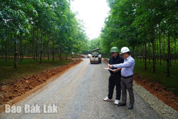 Huyện Krông Búk: Đẩy nhanh tiến độ các dự án đầu tư xây dựng cơ bản