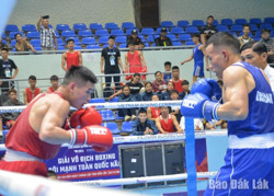 Giải Boxing các đội mạnh toàn quốc 2024, lứa tuổi 17 - 18: Đắk Lắk xếp thứ Nhì toàn đoàn
