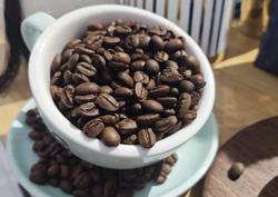 Giá cà phê trong nước tăng như vũ bão, tiến sát 120.000 đồng/kg