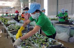 Đầu tư phát triển nông sản bền vững