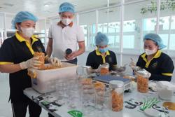 Sớm có chính sách hỗ trợ việc làm cho thanh niên