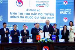 Các đội tuyển bóng quốc gia Việt Nam đón tin vui