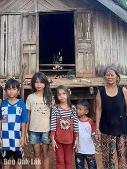 Bà ngoại già yếu nuôi 4 cháu mồ côi mẹ