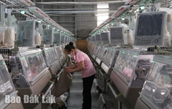 Gia tăng số lượng doanh nghiệp thành lập mới