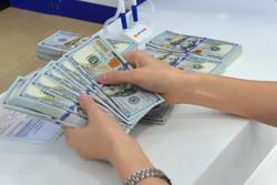 Tìm cách hạ nhiệt tỉ giá