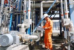 Có thể bao tiêu tới 70% sản lượng điện khí