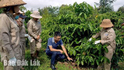 Phát triển sản xuất xanh: Đòn bẩy giá trị cho sản phẩm cà phê