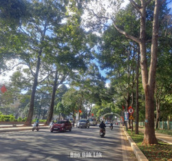 Lồng ghép các yêu cầu về bảo vệ môi trường trong thực hiện quy hoạch tỉnh