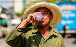 Nắng nóng kinh hoàng, nhiều nơi gần 43 độ C