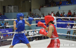 Giải vô địch Boxing các đội mạnh toàn quốc năm 2024: Các trận chung kết tổ chức ngoài trời