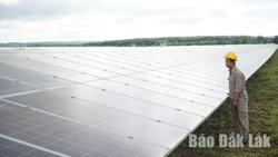 Đắk Lắk thu hút thêm 3 dự án đầu tư trong lĩnh vực nông nghiệp