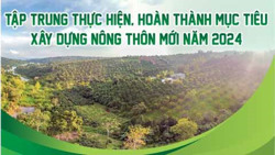 Tập trung thực hiện, hoàn thành mục tiêu xây dựng nông thôn mới năm 2024