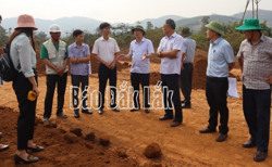 Huyện Krông Pắc tiếp tục phối hợp chặt chẽ với chủ đầu tư trong việc đề xuất chuyển đổi đất rừng thực hiện dự án cao tốc