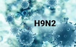Thông tin thêm ca nhiễm cúm A/H9N2 đầu tiên tại Việt Nam
