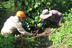 Lợi ích kép từ nông nghiệp tuần hoàn