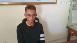 Lừa bán giống hoa trên mạng, chiếm đoạt hàng trăm triệu đồng