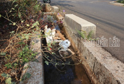 Ô nhiễm môi trường từ mương thoát nước không có nắp đậy