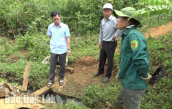 Huyện Krông Búk "gồng mình" chống hạn