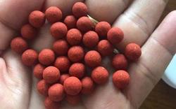 Nguy kịch do uống thuốc nam chứa chì