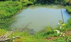 Rủ nhau đi tắm, 2 cháu bé ở Đắk Nông tử vong vì đuối nước