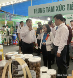 Đắk Lắk tham gia triển lãm tại Hội chợ công thương vùng Đồng bằng Sông Cửu Long – Đồng Tháp năm 2024