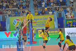 Giải Bóng chuyền nữ quốc tế “Cúp VTV9 – Bình Điền” lần thứ XIV – 2024: Chờ đợi những màn so tài đỉnh cao
