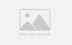 Giá hồ tiêu lập kỷ lục mới