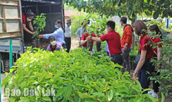 Quy định về cơ chế quản lý, tổ chức; quay vòng vốn hỗ trợ phát triển sản xuất trong thực hiện các chương trình, dự án