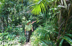 Đắk Lắk ưu tiên thực hiện 22 nhiệm vụ, dự án nhằm thích ứng với biến đổi khí hậu giai đoạn đến năm 2030, tầm nhìn đến năm 2050