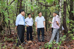 Tập trung nâng cao hiệu quả quản lý, bảo vệ, phát triển rừng tại Ea Súp